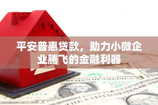 弥陀平安普惠贷款，助力小微企业腾飞的金融利器