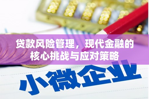 弥陀贷款风险管理，现代金融的核心挑战与应对策略