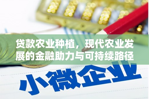 弥陀贷款农业种植，现代农业发展的金融助力与可持续路径