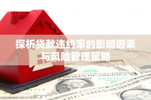 弥陀探析贷款违约率的影响因素与风险管理策略