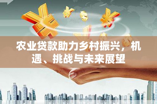弥陀农业贷款助力乡村振兴，机遇、挑战与未来展望