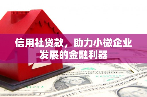 弥陀信用社贷款，助力小微企业发展的金融利器