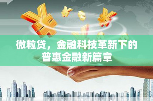 弥陀微粒贷，金融科技革新下的普惠金融新篇章
