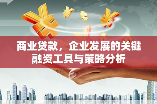 弥陀商业贷款，企业发展的关键融资工具与策略分析