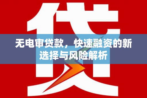 弥陀无电审贷款，快速融资的新选择与风险解析