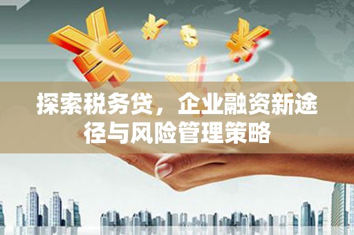 弥陀探索税务贷，企业融资新途径与风险管理策略