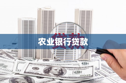 弥陀农业银行贷款