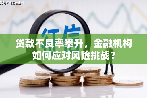 弥陀贷款不良率攀升，金融机构如何应对风险挑战？