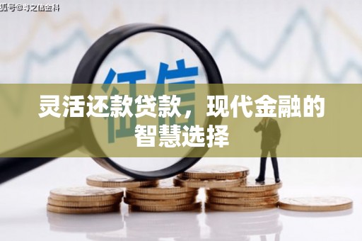 弥陀灵活还款贷款，现代金融的智慧选择