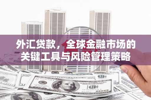 弥陀外汇贷款，全球金融市场的关键工具与风险管理策略