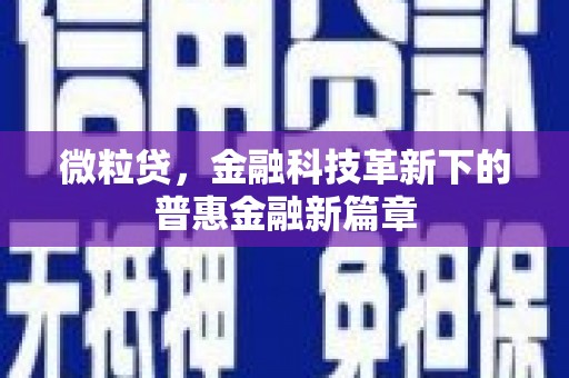 弥陀微粒贷，金融科技革新下的普惠金融新篇章