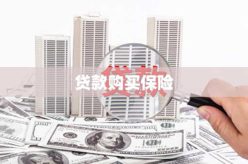 弥陀贷款购买保险