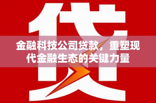 弥陀金融科技公司贷款，重塑现代金融生态的关键力量