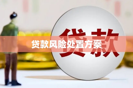 弥陀贷款风险处置方案