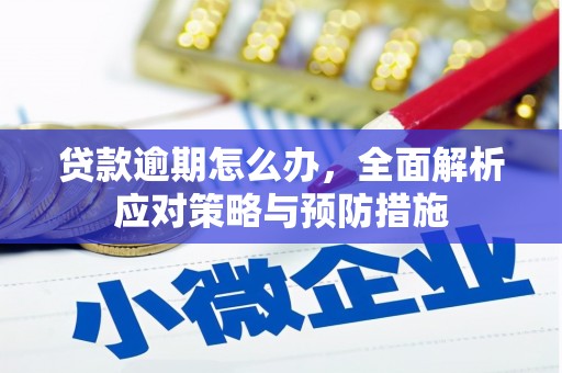 弥陀贷款逾期怎么办，全面解析应对策略与预防措施