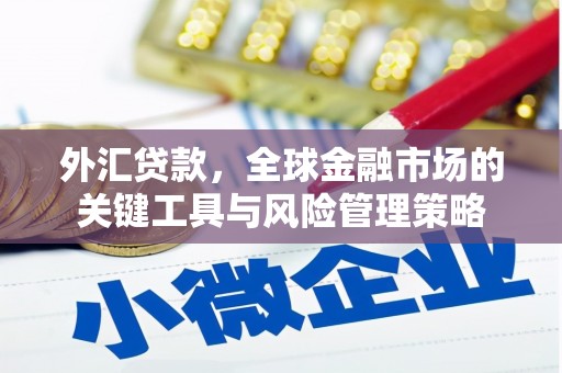 弥陀外汇贷款，全球金融市场的关键工具与风险管理策略