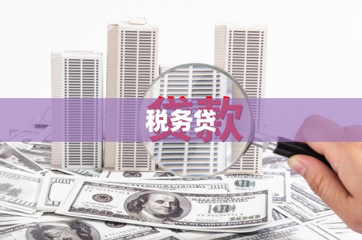 弥陀税务贷