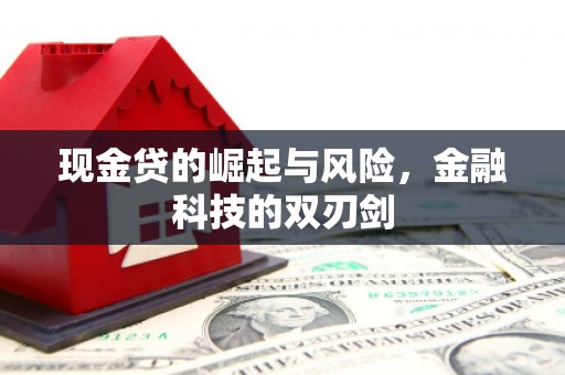 弥陀现金贷的崛起与风险，金融科技的双刃剑