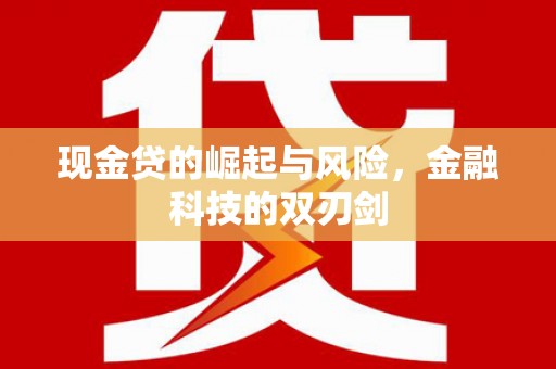 弥陀现金贷的崛起与风险，金融科技的双刃剑