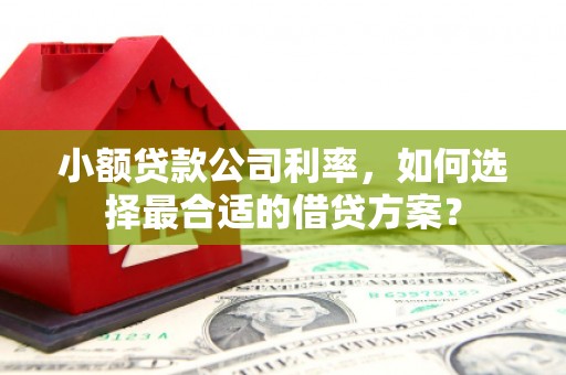 弥陀小额贷款公司利率，如何选择最合适的借贷方案？