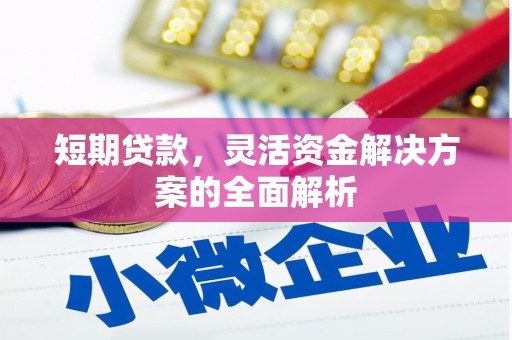 弥陀短期贷款，灵活资金解决方案的全面解析