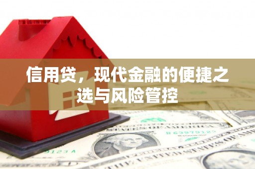 弥陀信用贷，现代金融的便捷之选与风险管控