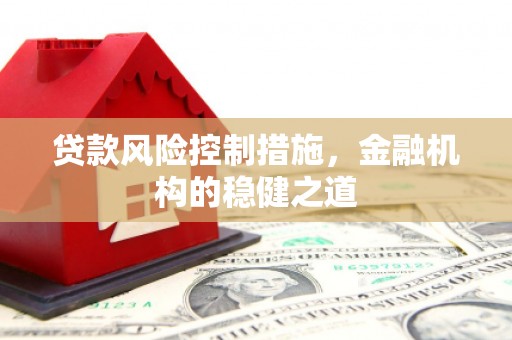 弥陀贷款风险控制措施，金融机构的稳健之道
