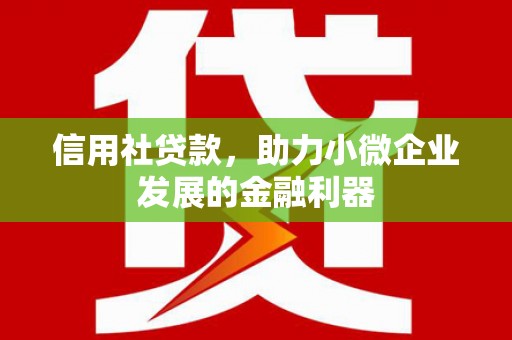 弥陀信用社贷款，助力小微企业发展的金融利器