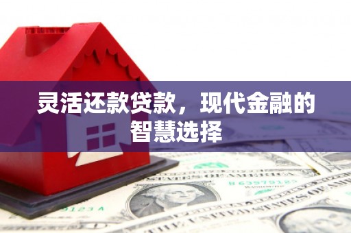 弥陀灵活还款贷款，现代金融的智慧选择