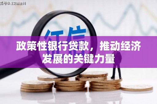 弥陀政策性银行贷款，推动经济发展的关键力量