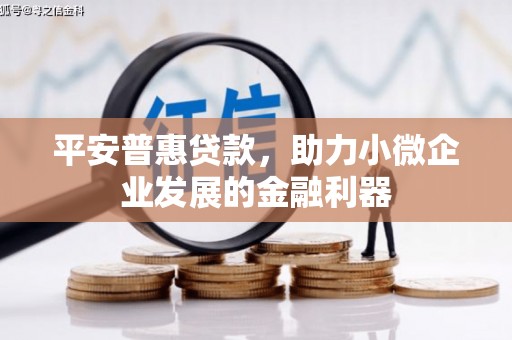 弥陀平安普惠贷款，助力小微企业发展的金融利器