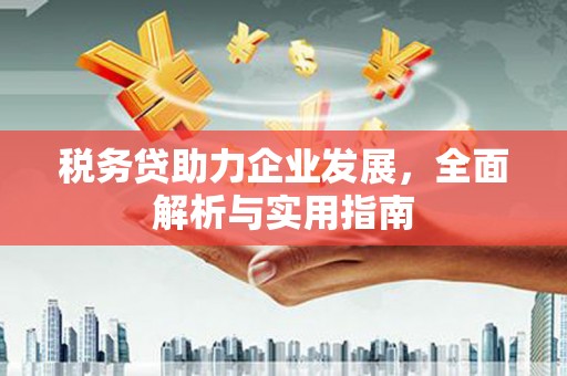 弥陀税务贷助力企业发展，全面解析与实用指南