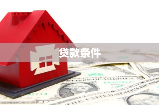 弥陀贷款条件