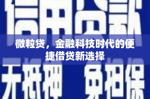 弥陀微粒贷，金融科技时代的便捷借贷新选择