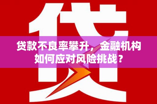 弥陀贷款不良率攀升，金融机构如何应对风险挑战？