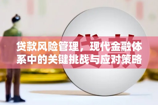 弥陀贷款风险管理，现代金融体系中的关键挑战与应对策略