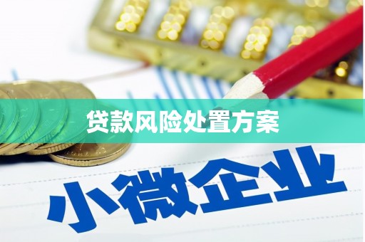 弥陀贷款风险处置方案