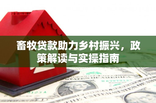 弥陀畜牧贷款助力乡村振兴，政策解读与实操指南