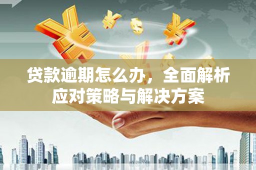 弥陀贷款逾期怎么办，全面解析应对策略与解决方案